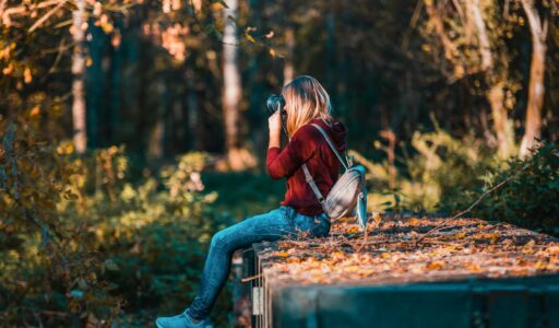 pexels-david-bartus-43782-610294