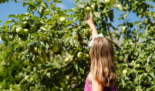 pexels-karolina-grabowska-4968166