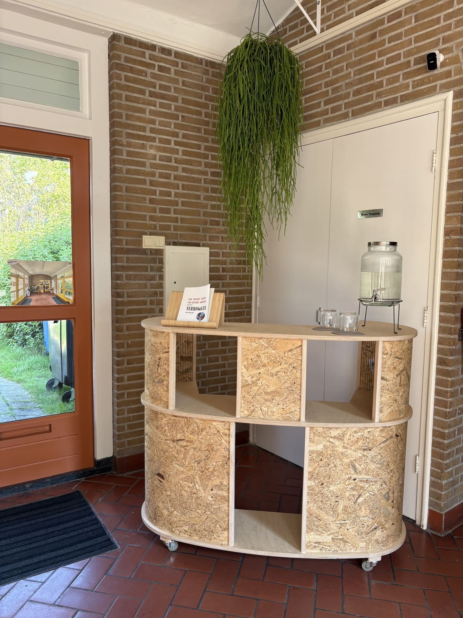 Terrawijs